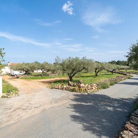 Casa En Olivera A 3 Km De La Costa El Perelló Εξωτερικό φωτογραφία