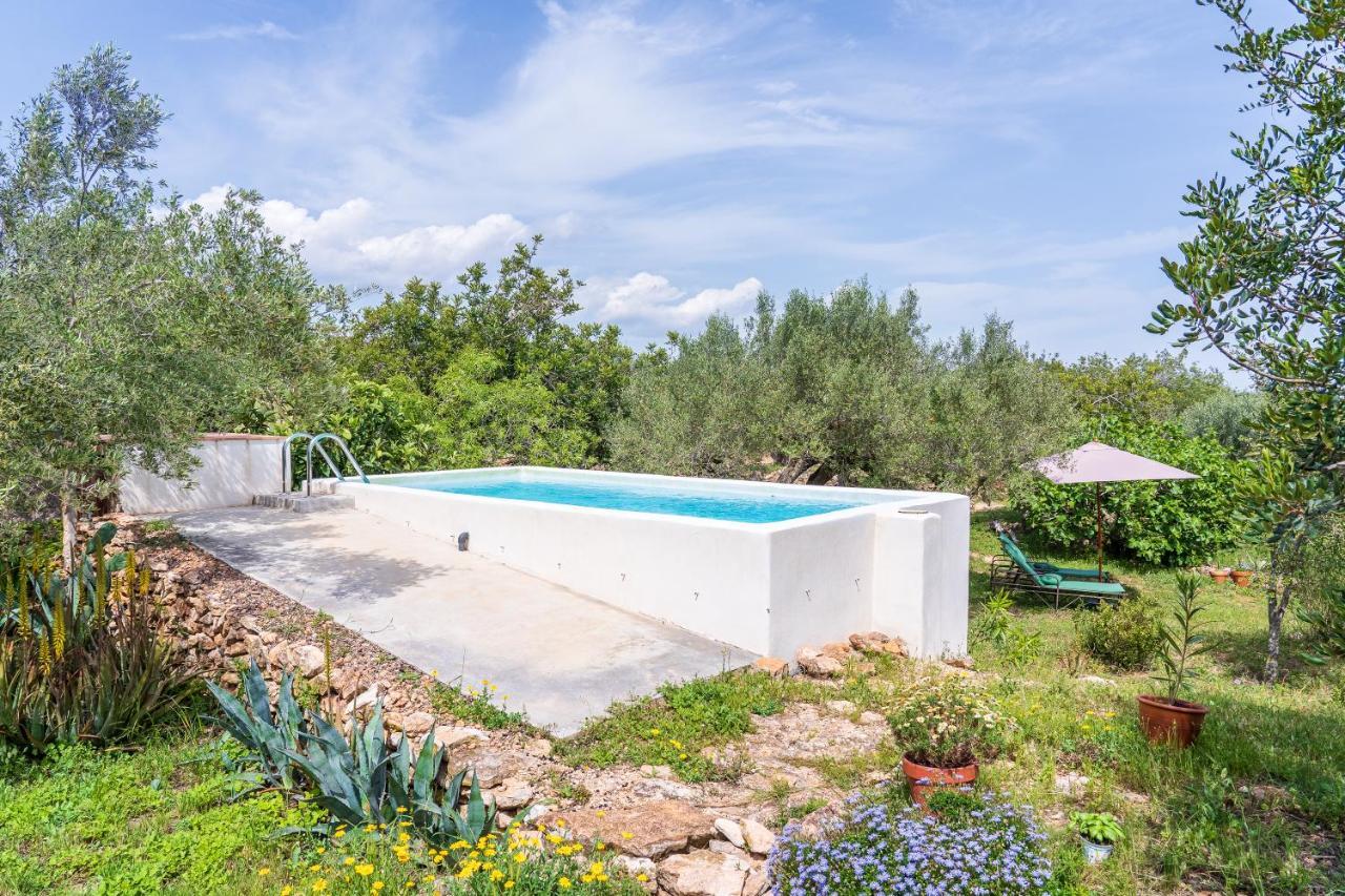 Casa En Olivera A 3 Km De La Costa El Perelló Εξωτερικό φωτογραφία