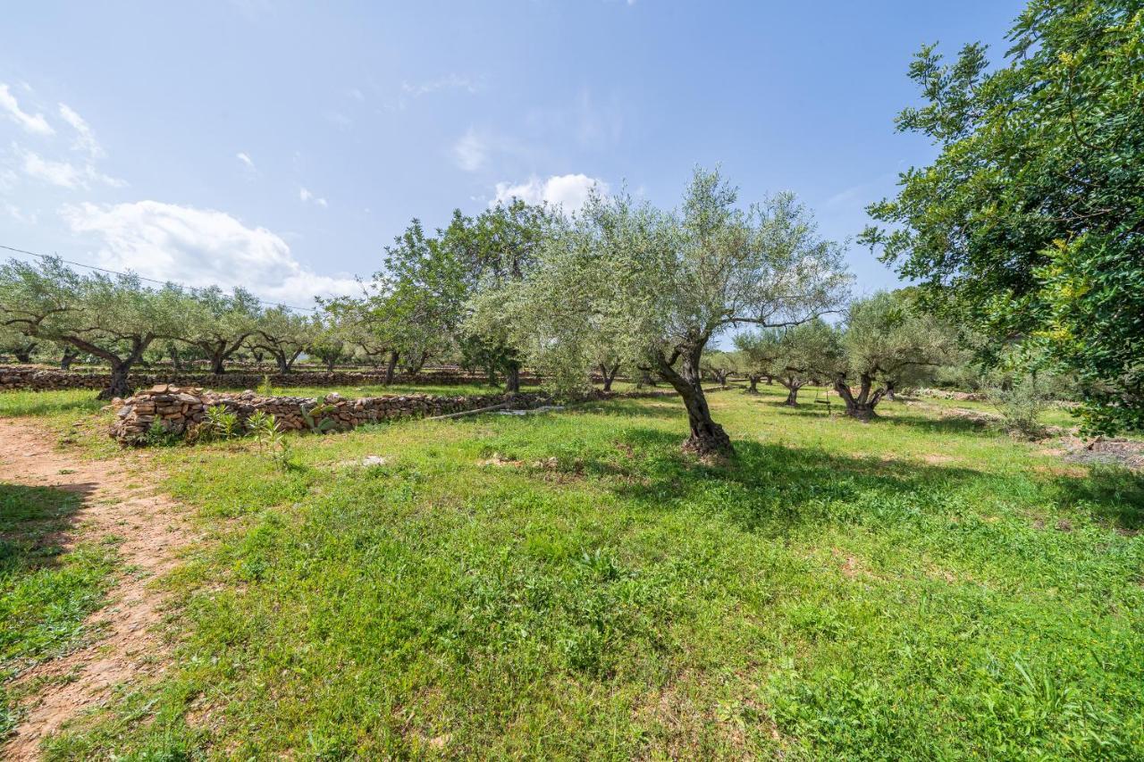 Casa En Olivera A 3 Km De La Costa El Perelló Εξωτερικό φωτογραφία