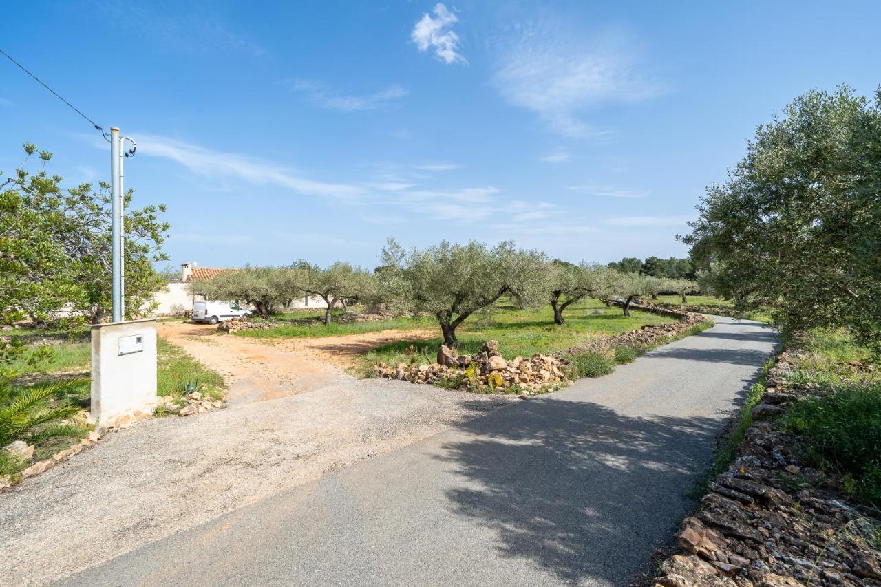 Casa En Olivera A 3 Km De La Costa El Perelló Εξωτερικό φωτογραφία
