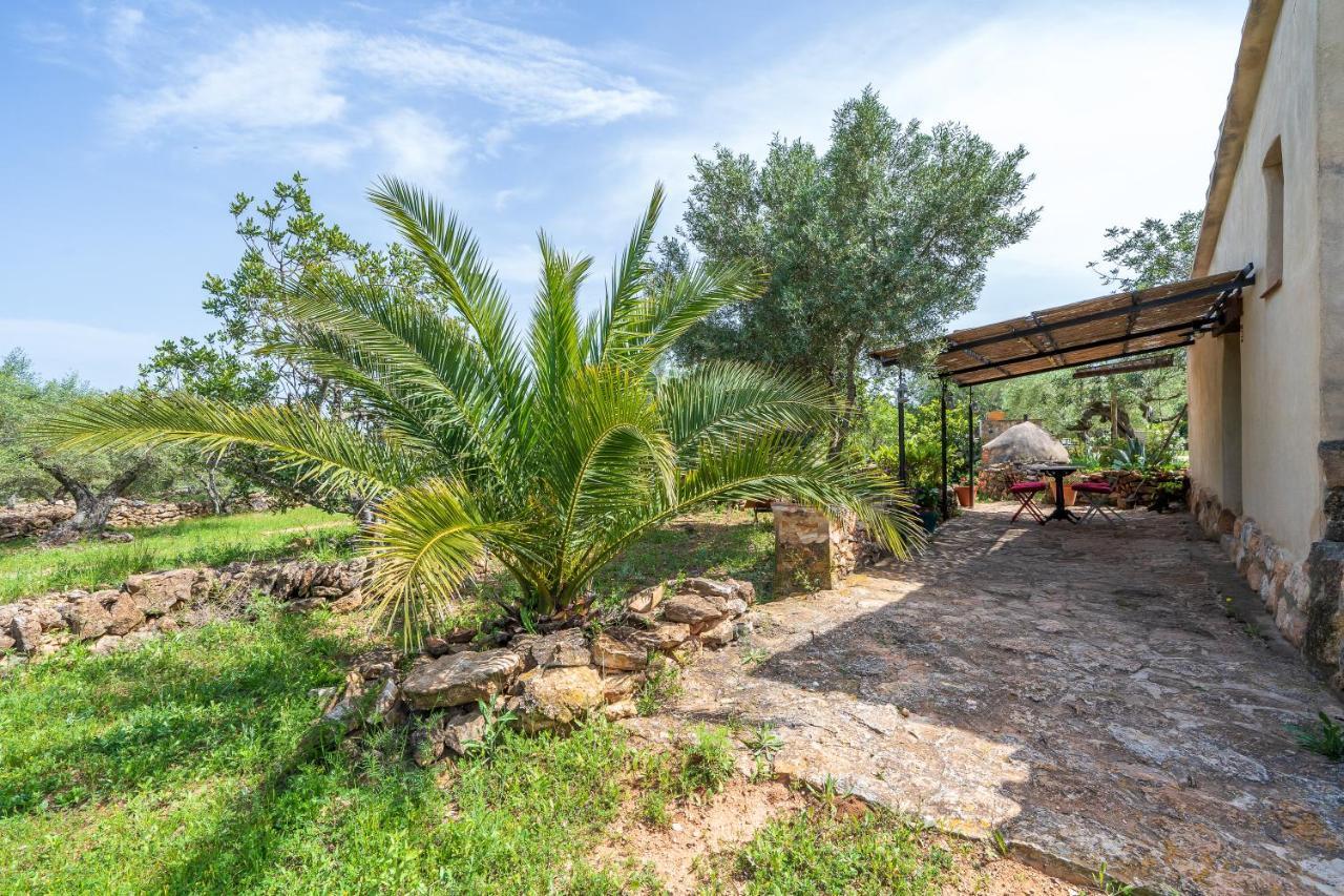 Casa En Olivera A 3 Km De La Costa El Perelló Εξωτερικό φωτογραφία