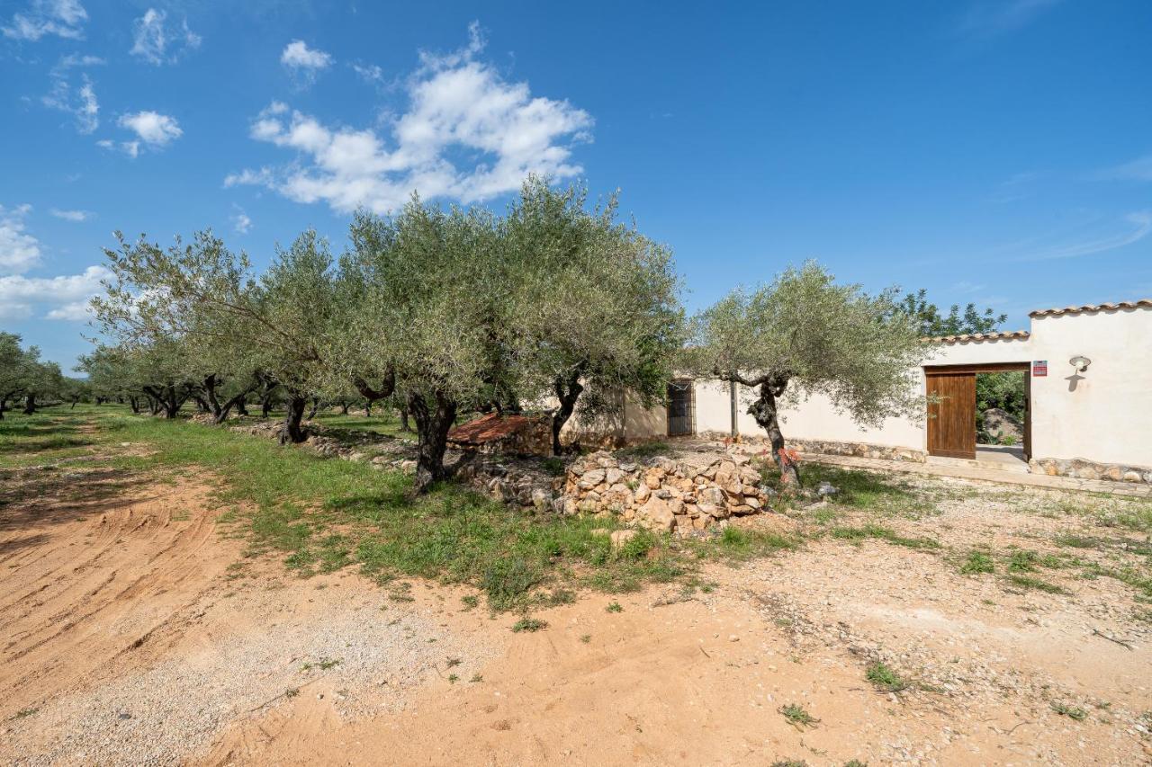 Casa En Olivera A 3 Km De La Costa El Perelló Εξωτερικό φωτογραφία